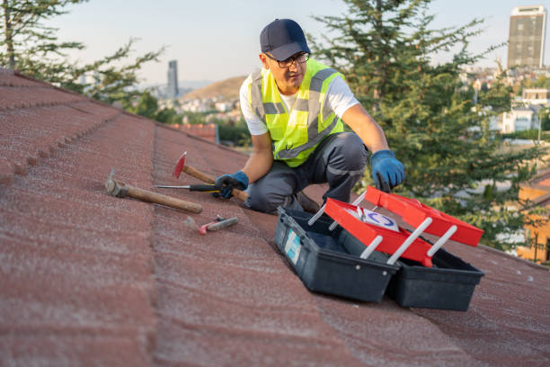 Best Hoarding Cleanup  in Roslyn, PA